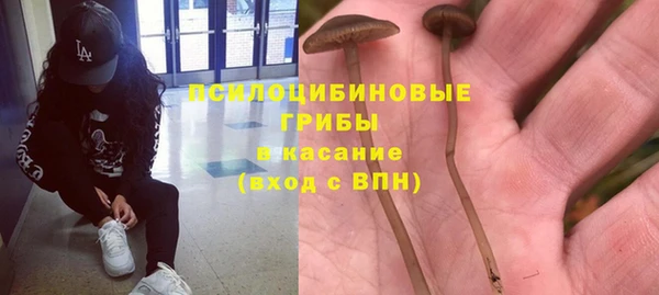 СК Богородск