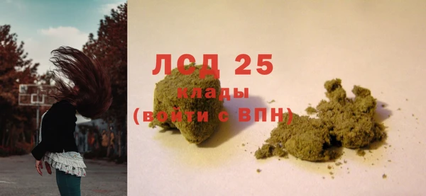 СК Богородицк