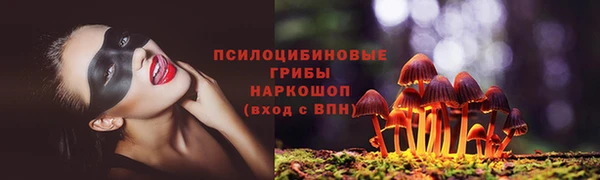 СК Богородск