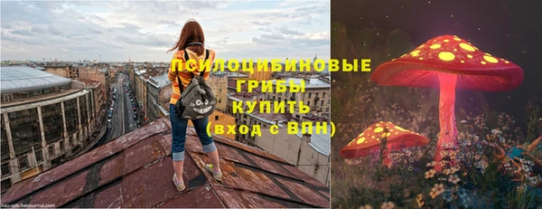 СК Богородицк