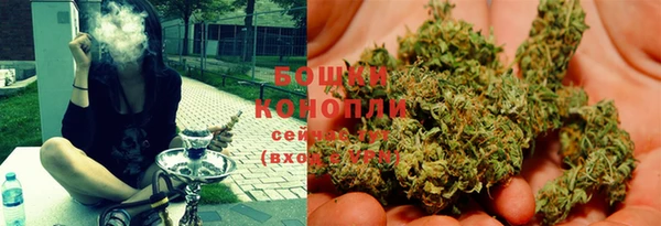 СК Богородск